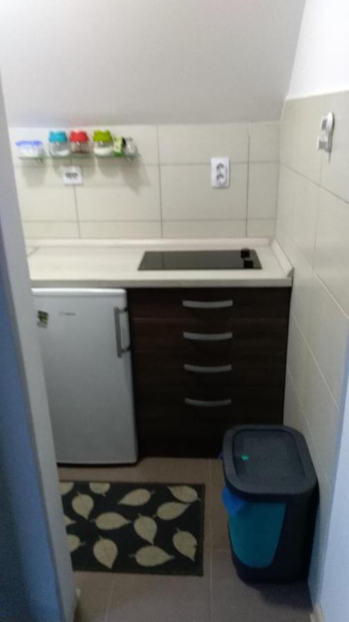 Apartman Vukasin Kopaonik Kültér fotó